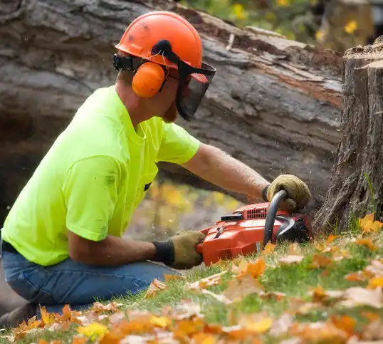 tree services Malverne